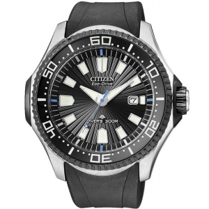Citizen Eco-Drive BN0085-01E Uhrenarmband 23mm