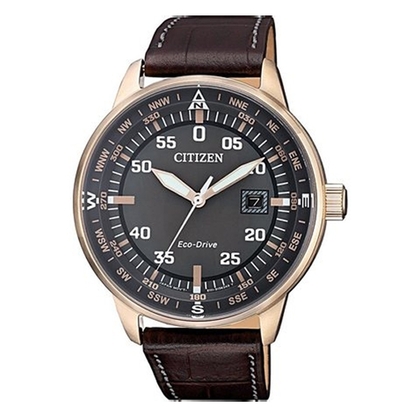 Citizen Eco-Drive BM7393-16H Uhrenarmband 20mm