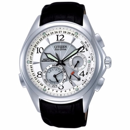 Citizen Eco-Drive BL9000-32A Uhrenarmband 21mm