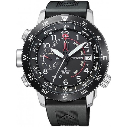Citizen Altichron Eco-Drive BN4044-15E Uhrenarmband 22mm